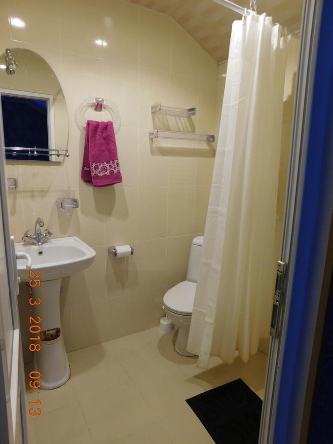 Akaki'S Guesthouse 博尔若米 外观 照片